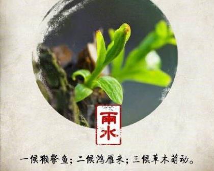 无聊拍抖音的说说