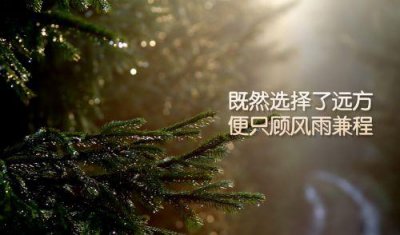 ​520朋友圈超幸福文案(精选144句)