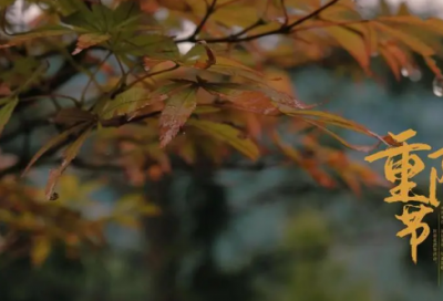 ​带蒲叶的网名情侣名